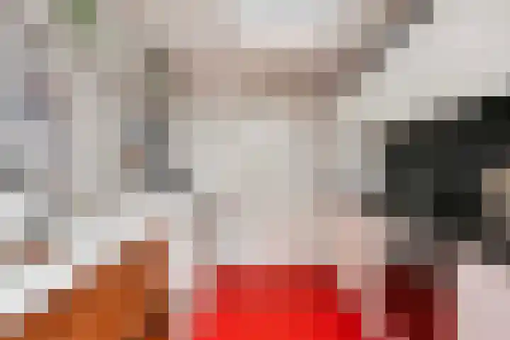 Pieterskerkhof 20 A Utrecht thumbnail 13