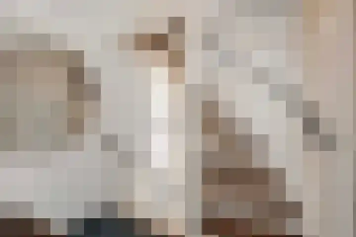 Pieterskerkhof 20 A Utrecht thumbnail 15