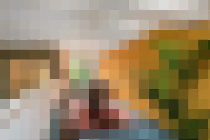 Pieterskerkhof 20 A Utrecht thumbnail 16