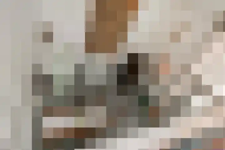 Pieterskerkhof 20 A Utrecht thumbnail 17