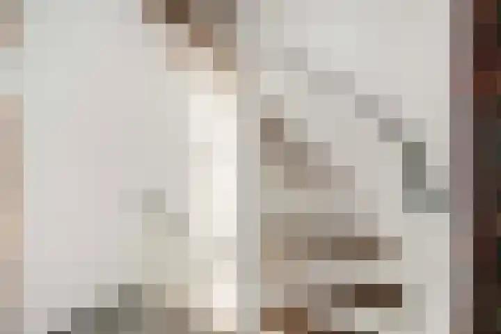 Pieterskerkhof 20 A Utrecht thumbnail 23