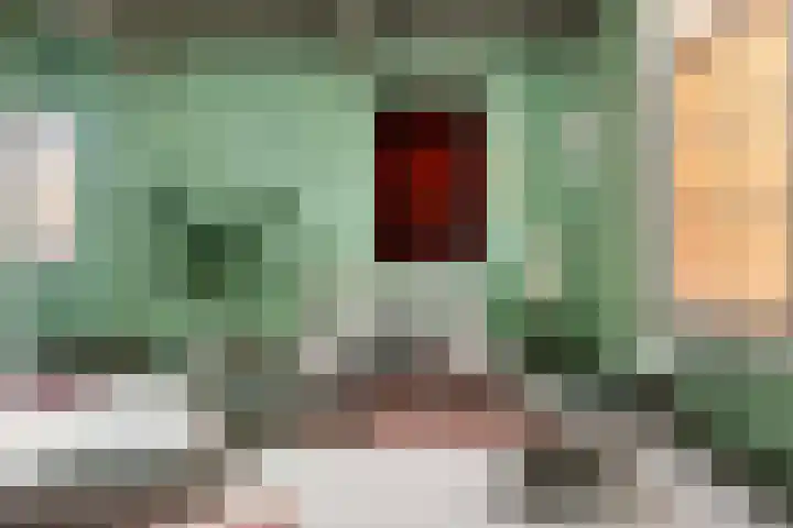 Pieterskerkhof 20 A Utrecht thumbnail 25