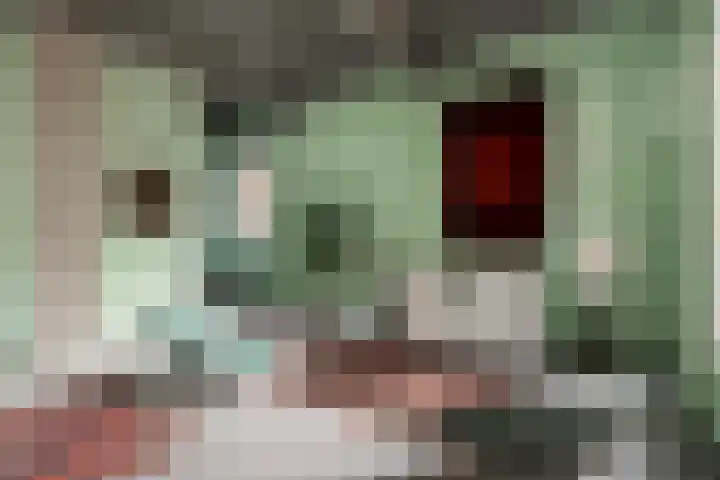 Pieterskerkhof 20 A Utrecht thumbnail 29