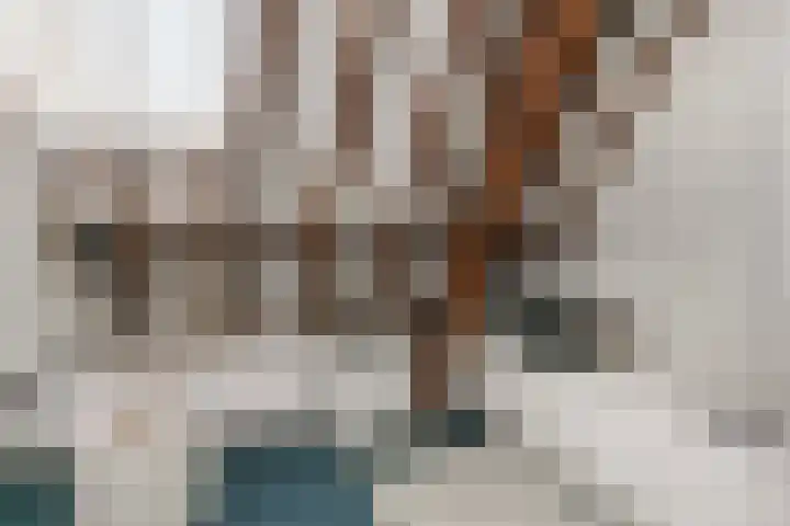 Pieterskerkhof 20 A Utrecht thumbnail 32