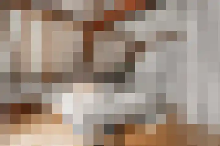 Pieterskerkhof 20 A Utrecht thumbnail 36