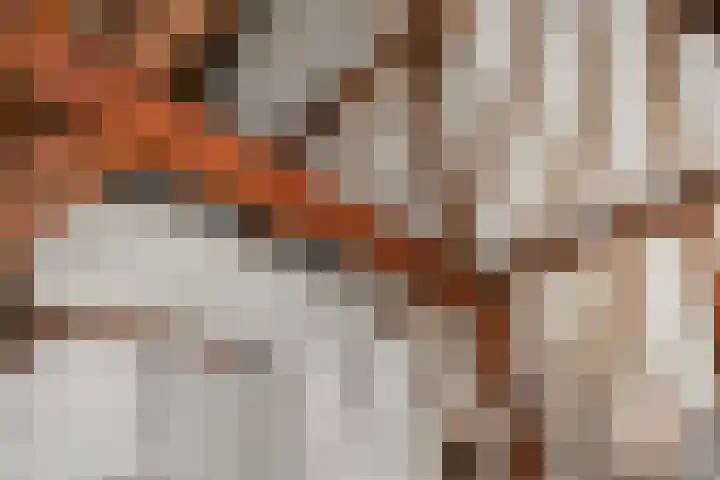 Pieterskerkhof 20 A Utrecht thumbnail 37