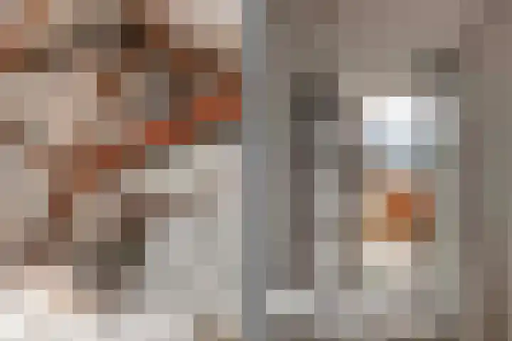 Pieterskerkhof 20 A Utrecht thumbnail 38