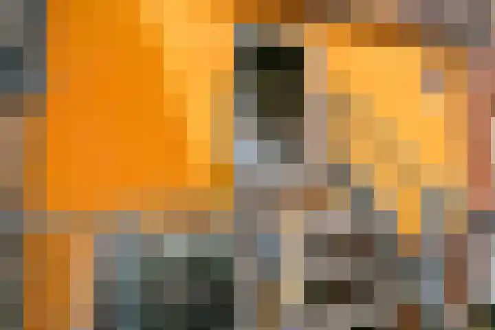 Pieterskerkhof 20 A Utrecht thumbnail 39