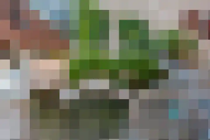 Pieterskerkhof 20 A Utrecht thumbnail 40