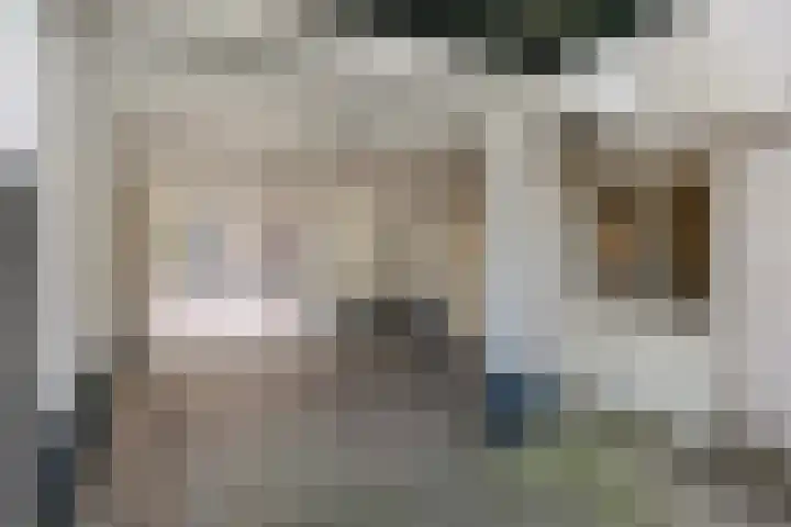 Pieterskerkhof 20 A Utrecht thumbnail 43