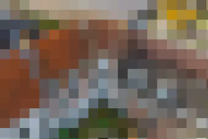 Pieterskerkhof 20 A Utrecht thumbnail 44