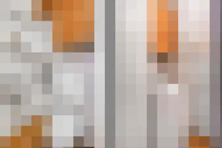 Pieterskerkhof 20 A Utrecht thumbnail 47