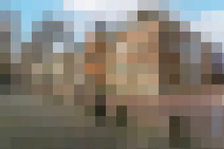 Pieterskerkhof 20 A Utrecht thumbnail 49