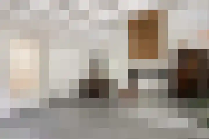 Pieterskerkhof 20 A Utrecht thumbnail 5