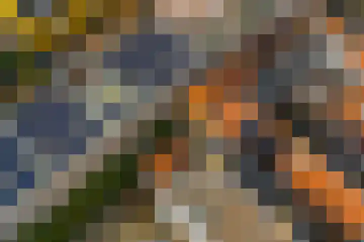 Pieterskerkhof 20 A Utrecht thumbnail 51