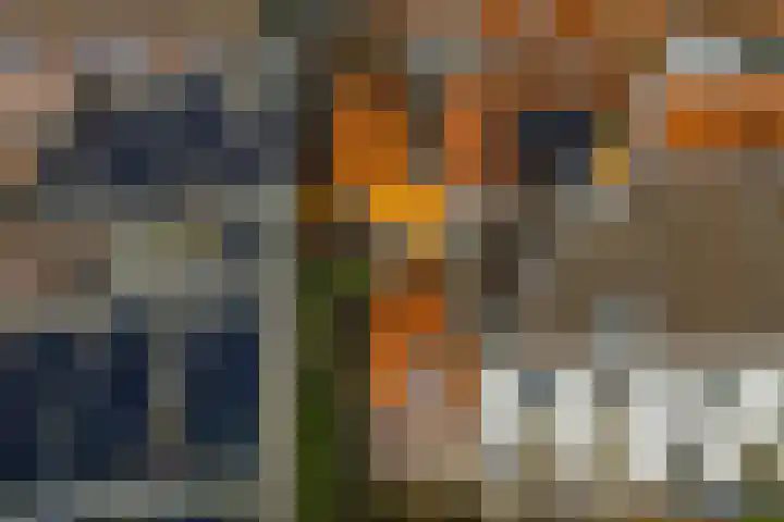 Pieterskerkhof 20 A Utrecht thumbnail 52