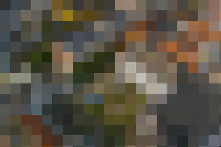 Pieterskerkhof 20 A Utrecht thumbnail 55
