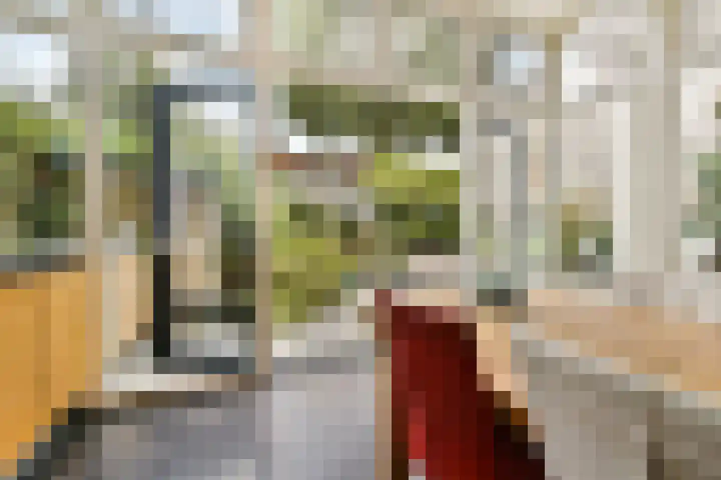 Pieterskerkhof 36 Leiden thumbnail 15