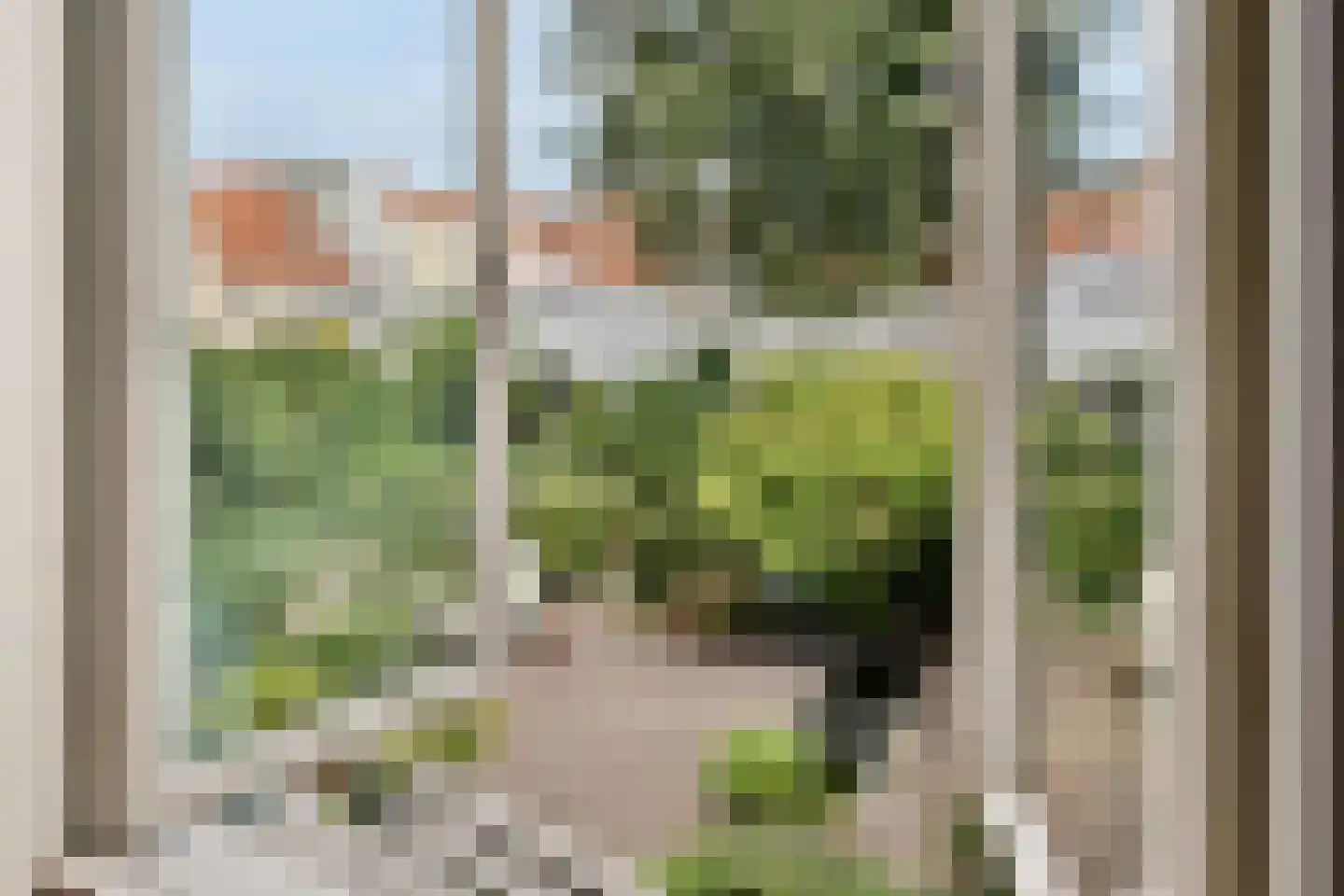 Pieterskerkhof 36 Leiden thumbnail 21