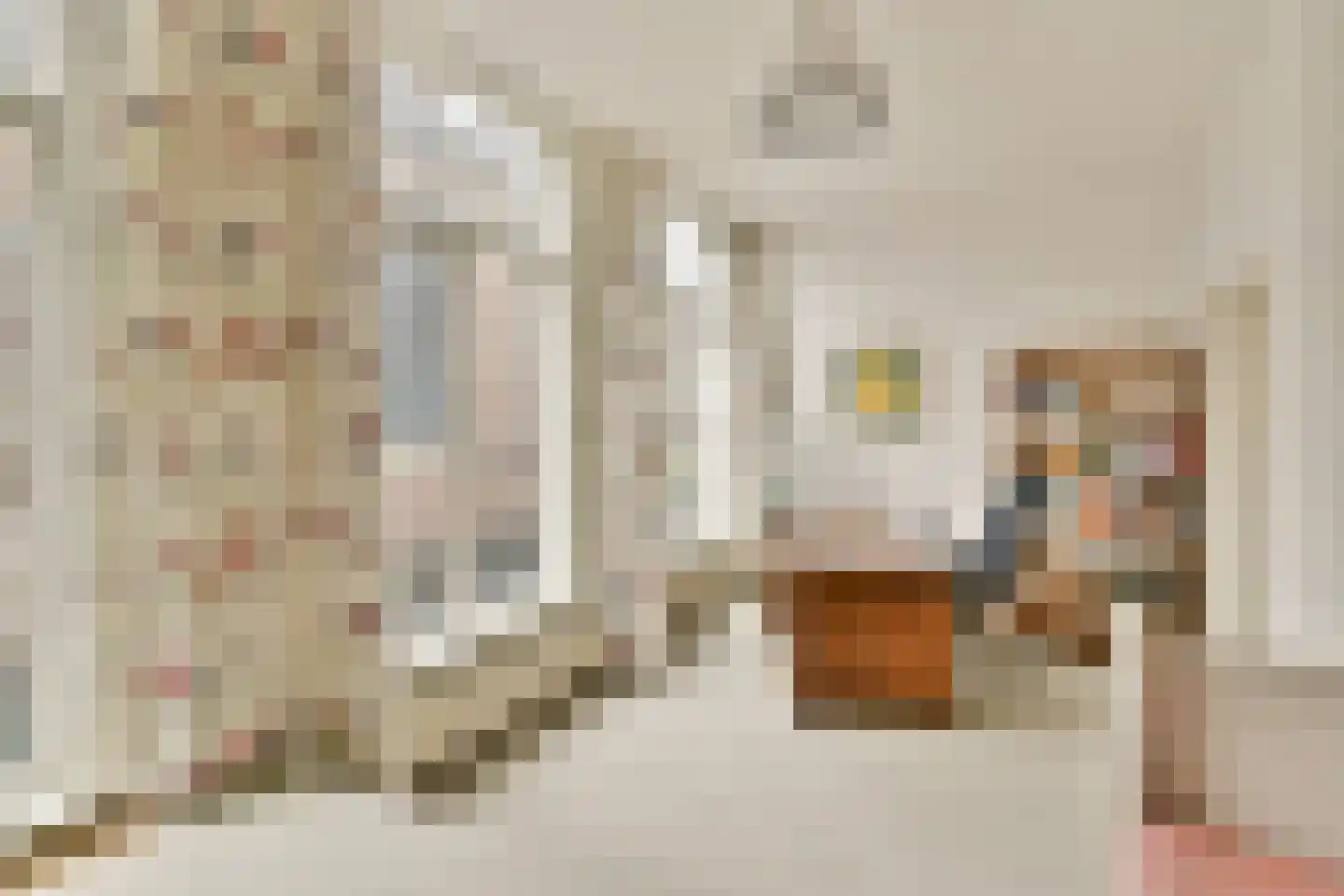 Pieterskerkhof 36 Leiden thumbnail 27