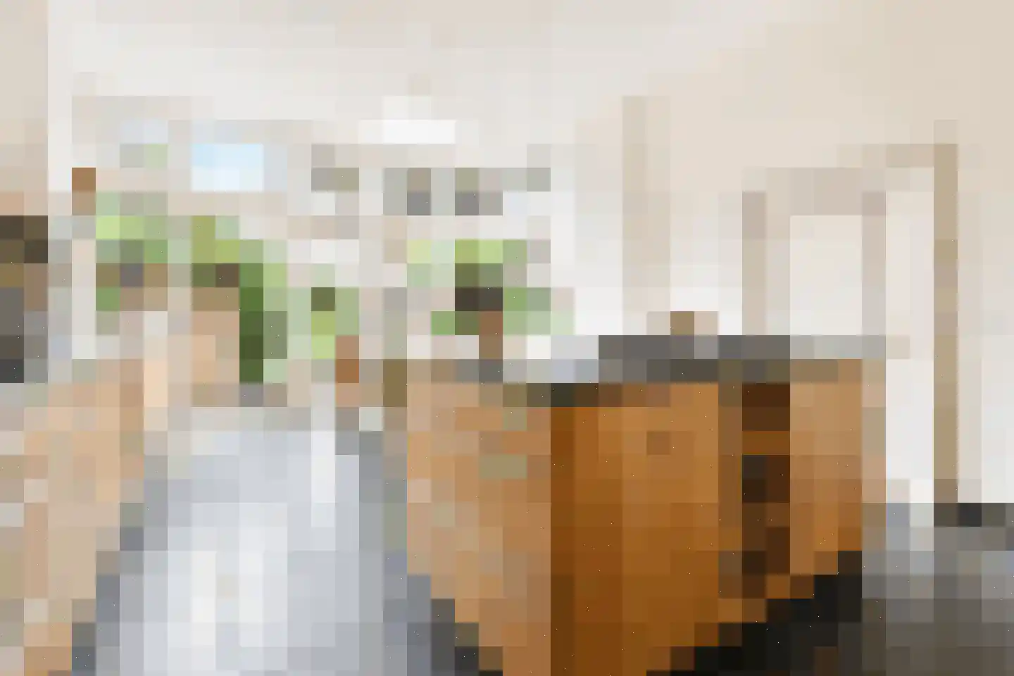 Pieterskerkhof 36 Leiden thumbnail 4