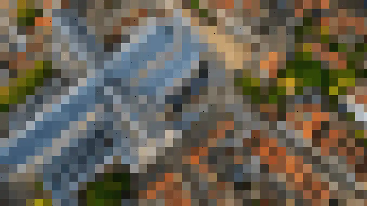 Pieterskerkhof 36 Leiden thumbnail 53