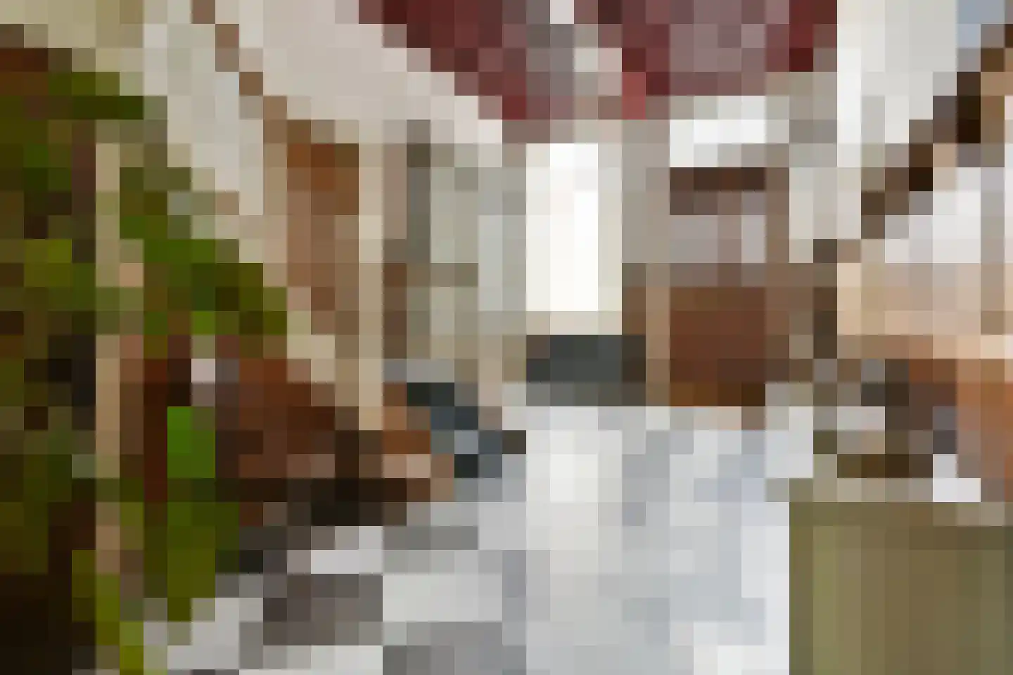 Pieterskerkhof 36 Leiden thumbnail 7