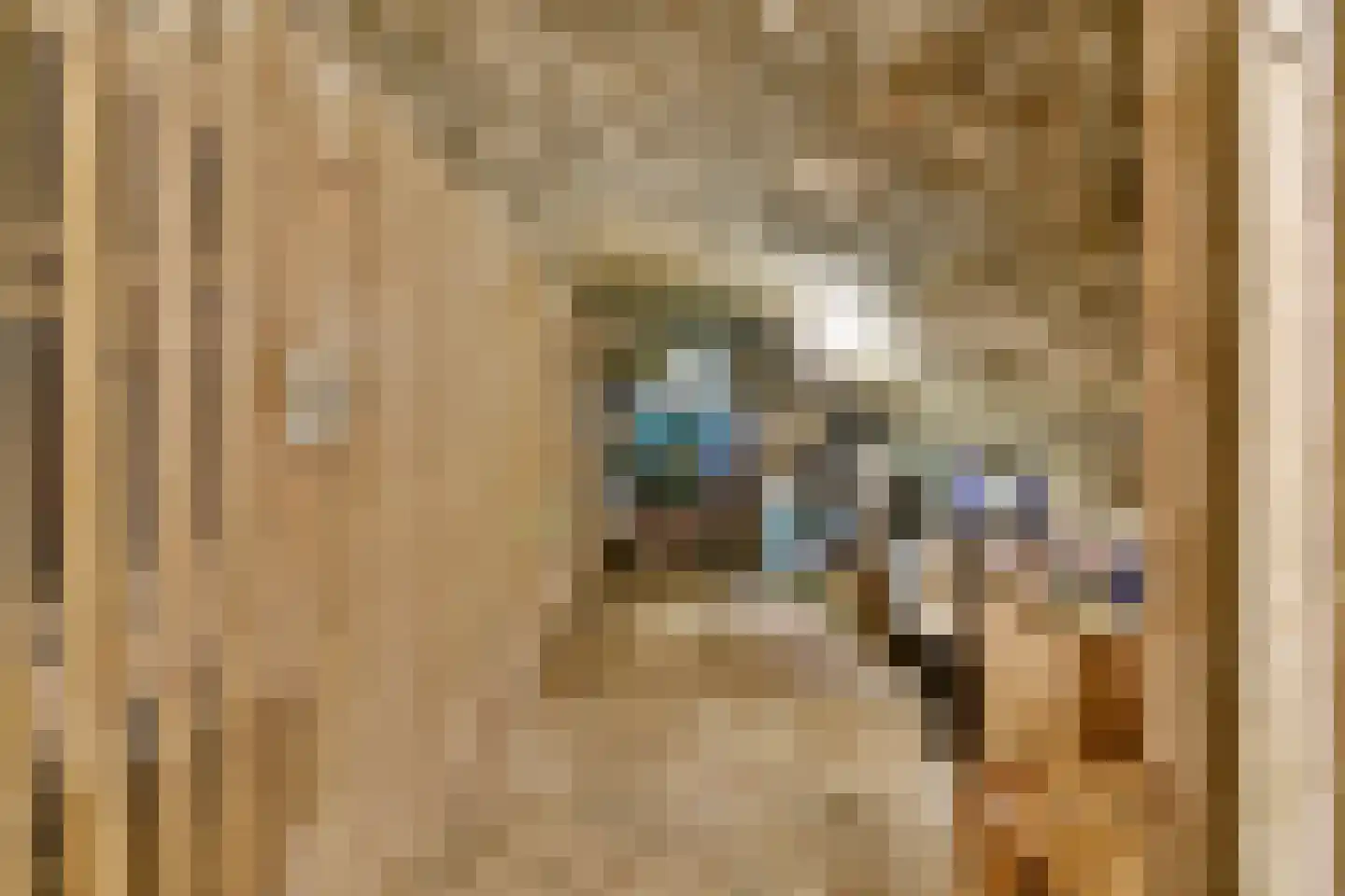 Pieterskerkhof 36 Leiden thumbnail 8