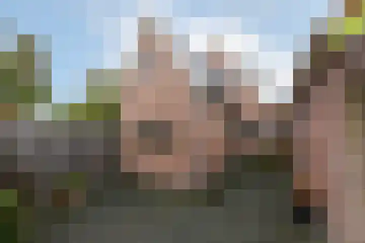Pieterslaan 51 Wolvega thumbnail 24