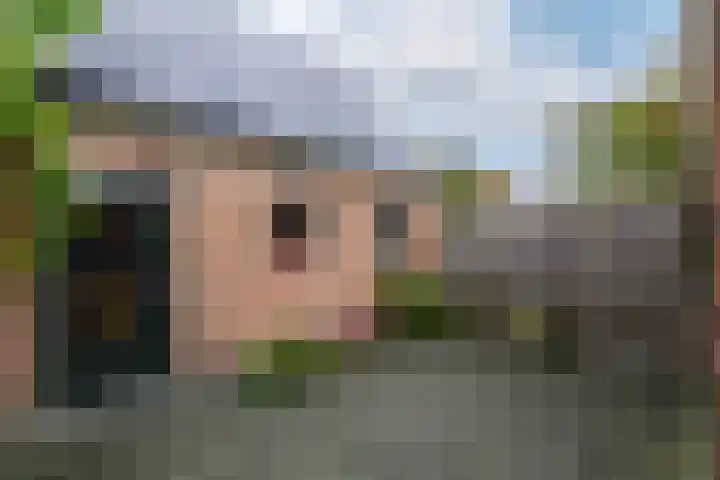 Pieterslaan 51 Wolvega thumbnail 28