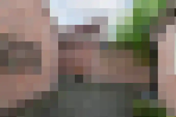 Pieterslaan 51 Wolvega thumbnail 30