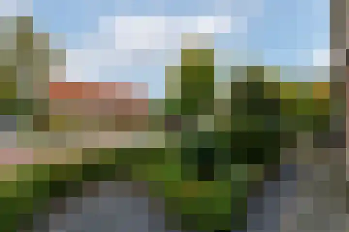 Pieterslaan 51 Wolvega thumbnail 32