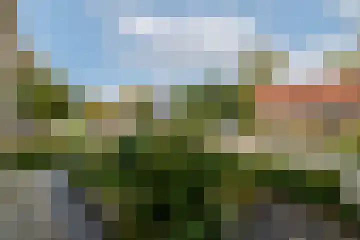 Pieterslaan 51 Wolvega thumbnail 33