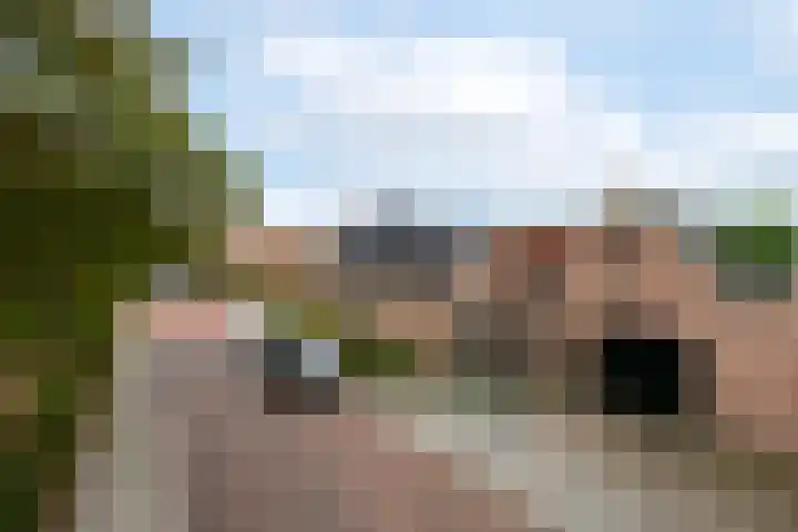 Pieterslaan 51 Wolvega thumbnail 34