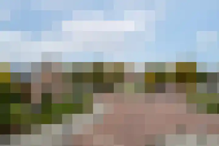 Pieterslaan 51 Wolvega thumbnail 35
