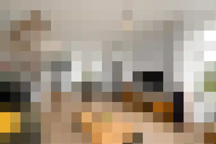 Pieterslaan 51 Wolvega thumbnail 5