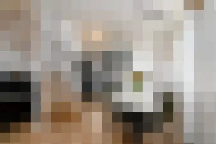 Pieterslaan 51 Wolvega thumbnail 9