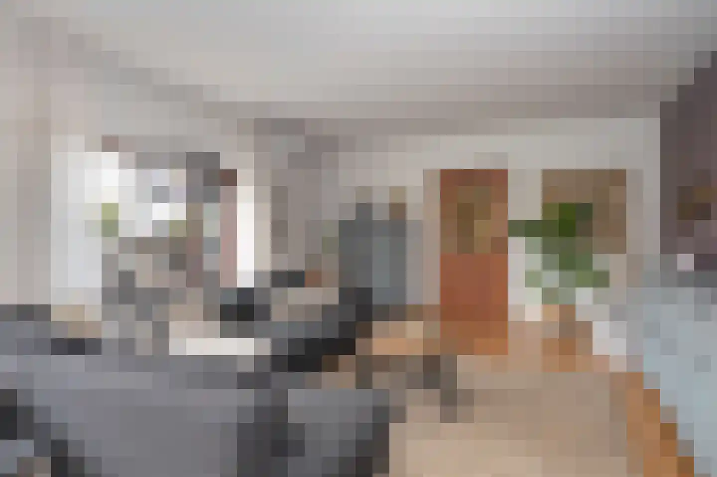 Pieterstraat 12 Geleen thumbnail 16