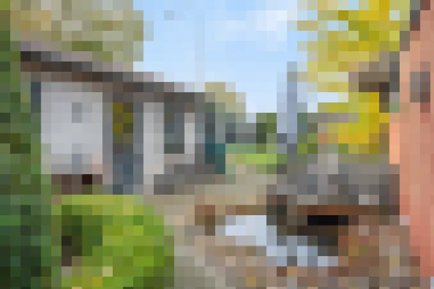 Pieterstraat 12 Geleen thumbnail 29