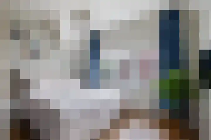 Pieterstraat 12 Geleen thumbnail 34
