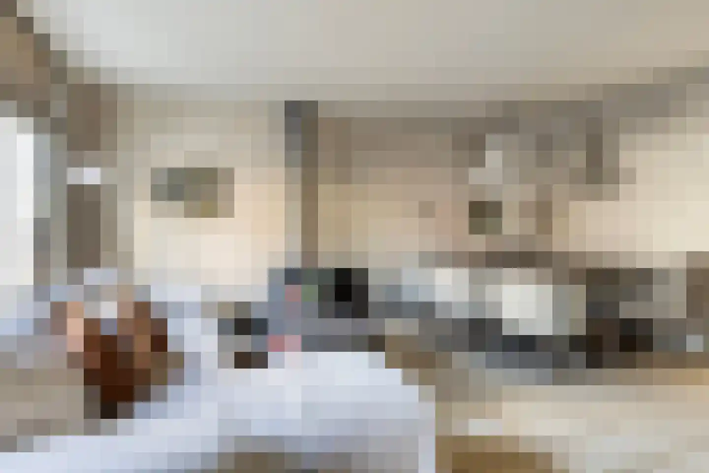 Pieterstraat 3 Melissant thumbnail 12