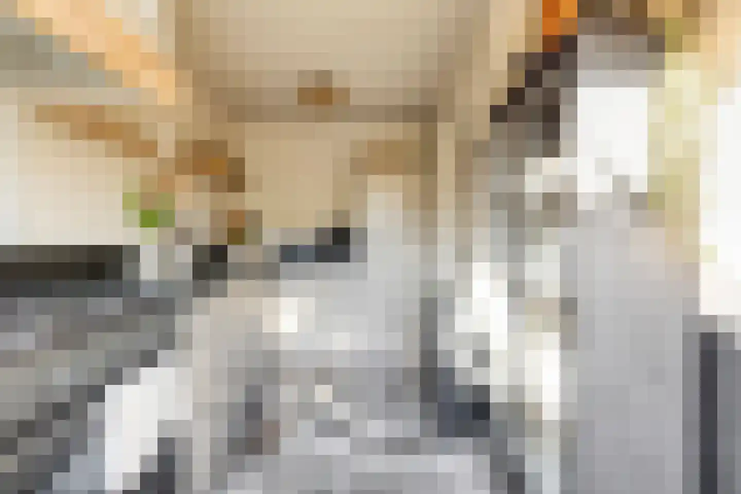 Pieterstraat 3 Melissant thumbnail 15