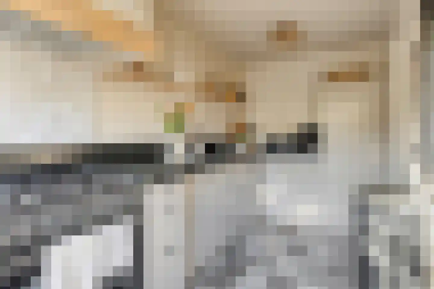 Pieterstraat 3 Melissant thumbnail 4