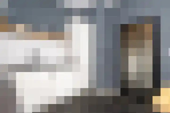 Pieterstraat 40 A Goedereede thumbnail 8
