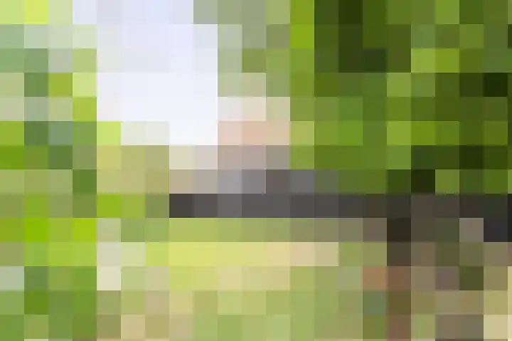 Pieterstraat 46 Goedereede thumbnail 69