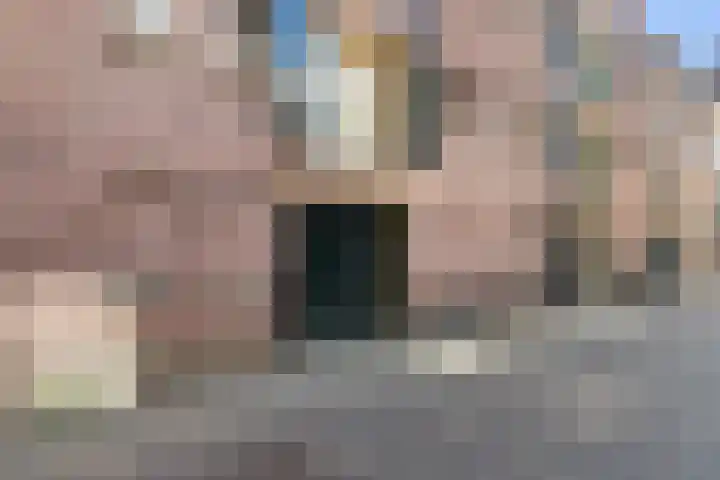 Pieterstraat 7 A Alkmaar thumbnail 21