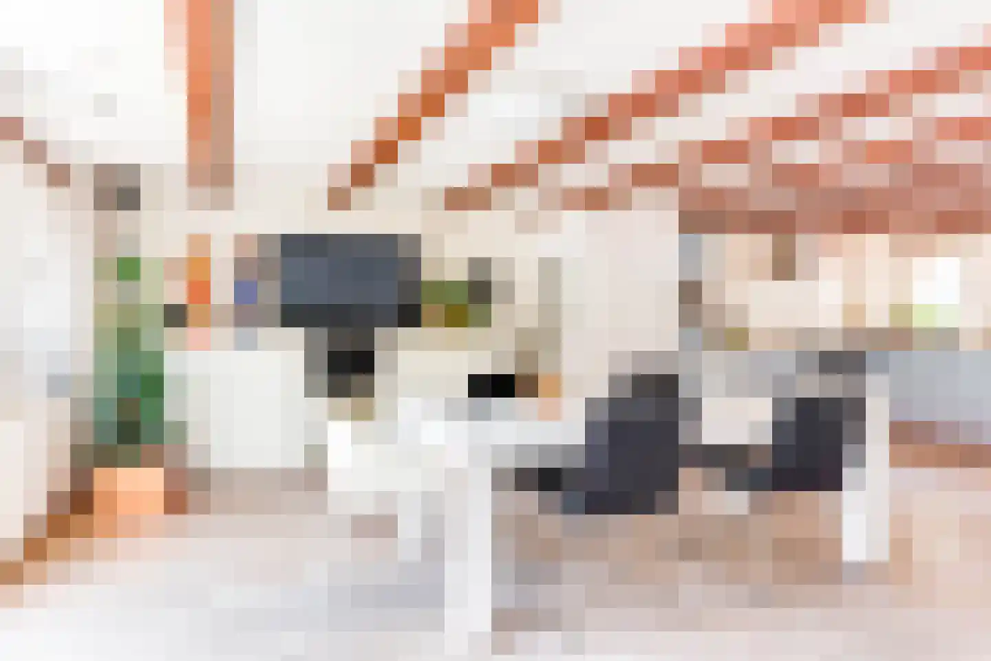 Pieterstraat 9 Alkmaar thumbnail 10