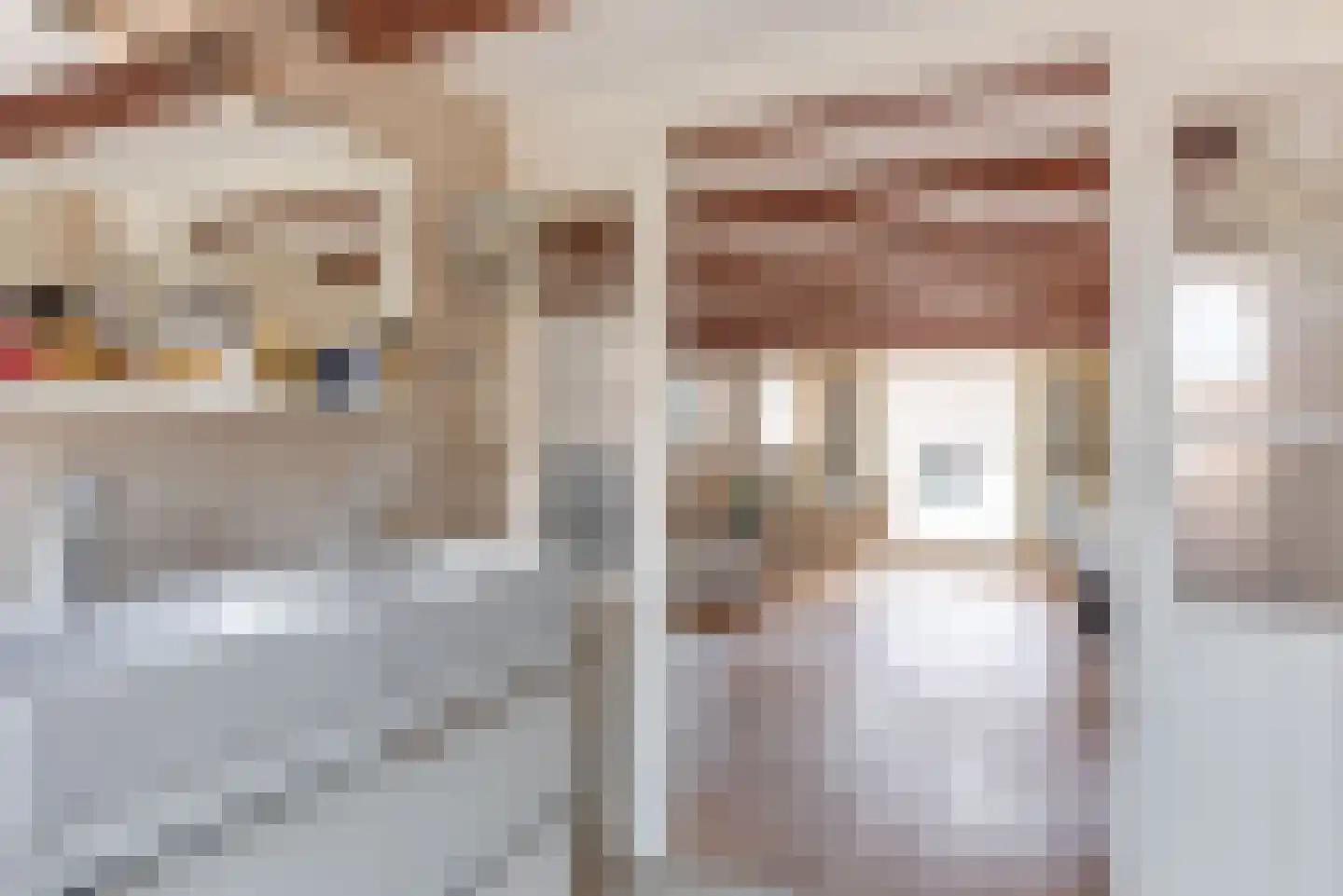 Pieterstraat 9 Alkmaar thumbnail 23