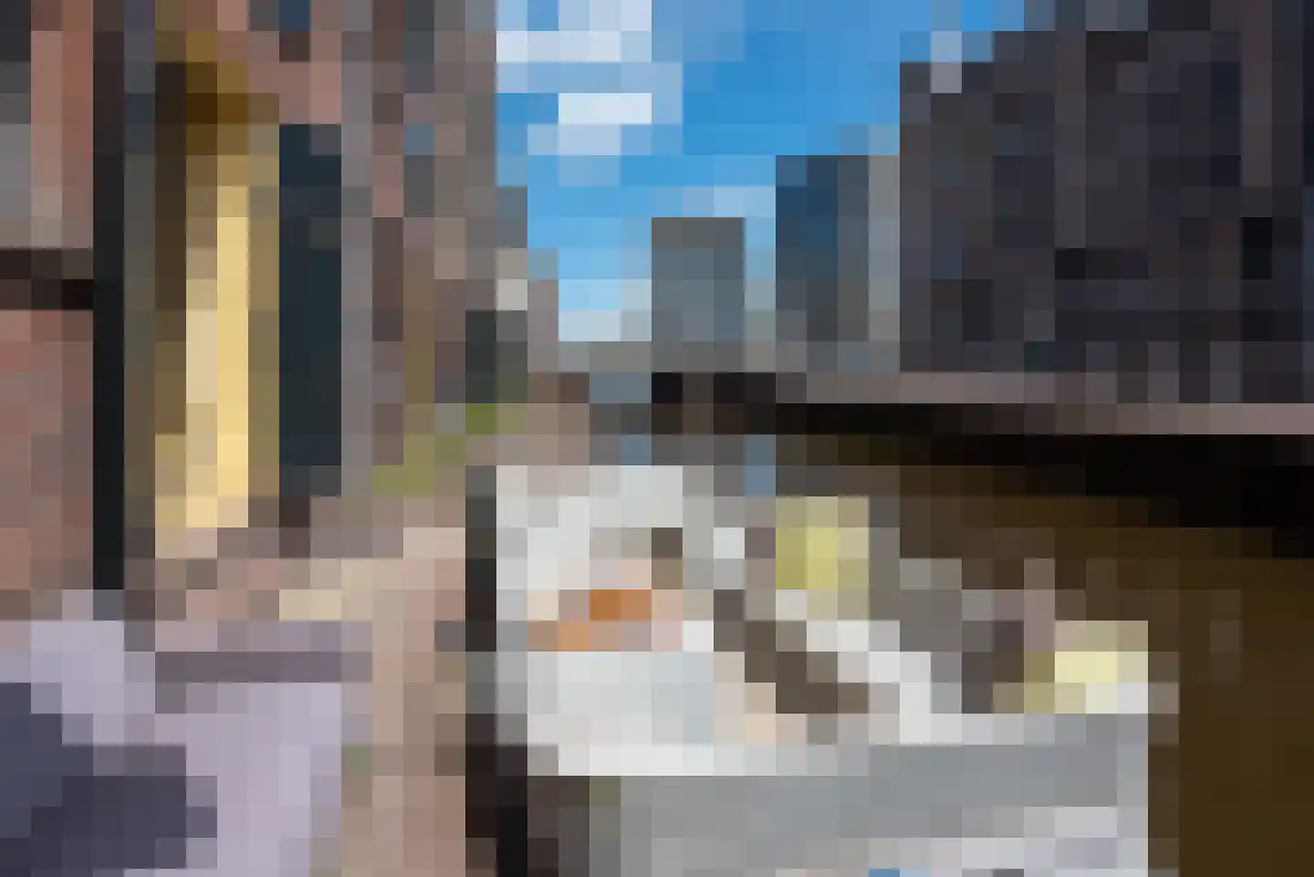 Pieterstraat 9 Alkmaar thumbnail 35