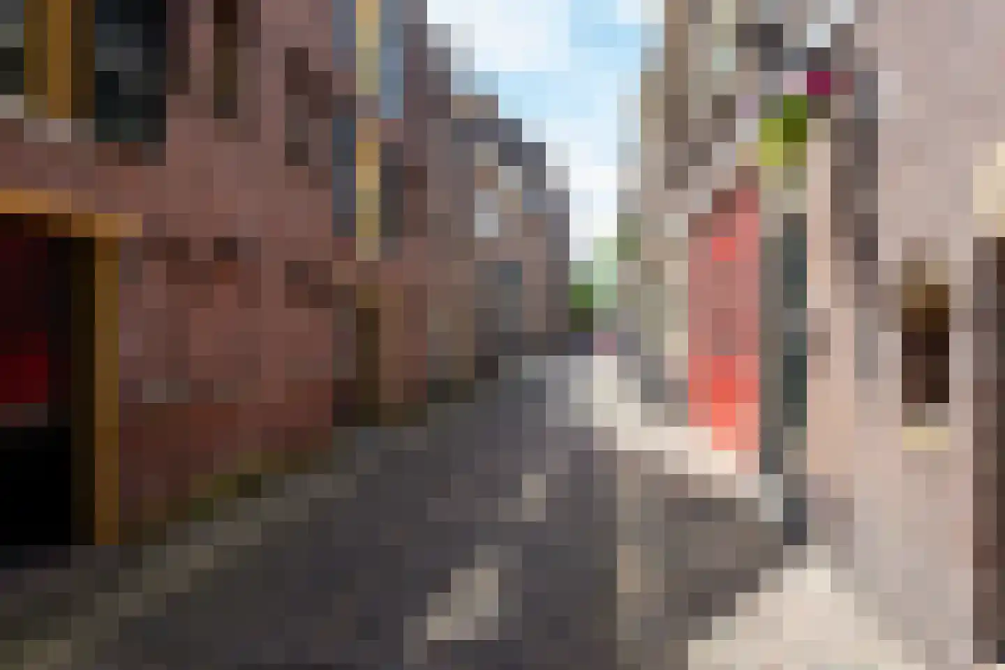 Pieterstraat 9 Alkmaar thumbnail 47